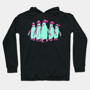 African Penguin Gang - Aqua and Magenta Hoodie